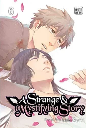 Cover of A Strange and Mystifying Story, Vol. 6