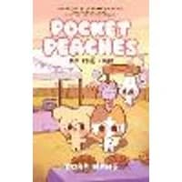 Cover of Pocket Peaches: At the Fair Volume 2