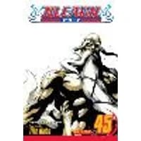 Cover of Bleach, Vol. 45 Volume 45