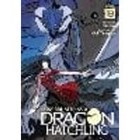 Cover of Reincarnated as a Dragon Hatchling (Light Novel) Vol. 13