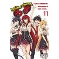 Cover of High School DxD, Vol. 11