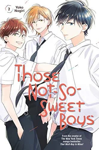 Cover of Those Not-So-Sweet Boys 2