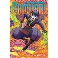 Cover of The Elusive Samurai, Vol. 9 Volume 9