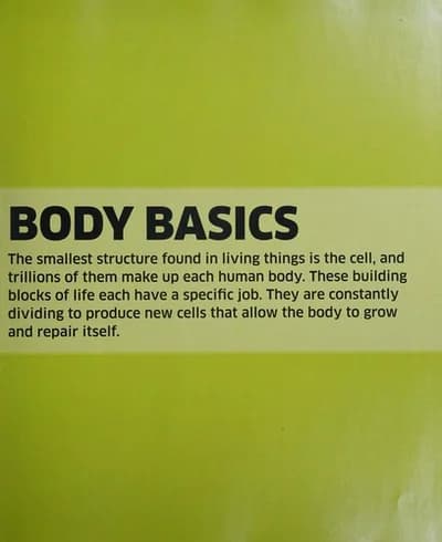 Knowledge Encyclopedia Human Body Children's Hardcover Book