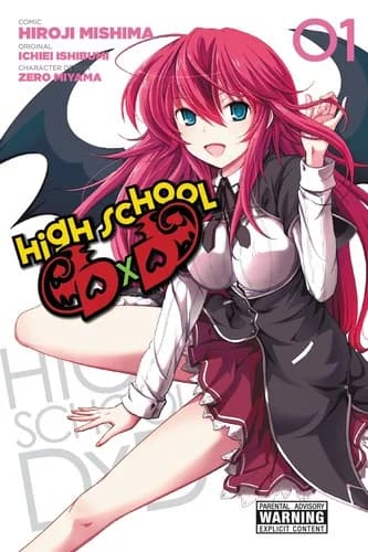 Cover of High School DxD 01