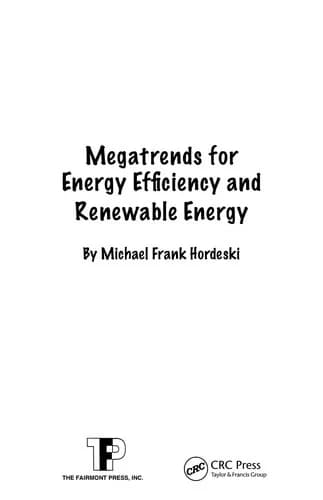 Cover of Megatrends for Energy Efficiency and Renewable Energy