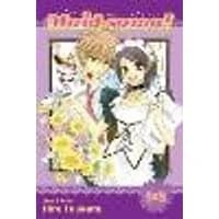 Cover of Maid-sama! (2-in-1 Edition), Vol. 1 Volume 1