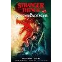 Cover of Stranger Things and Dungeons & Dragons (Graphic Novel)