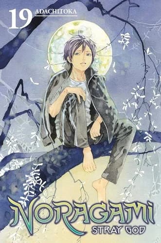 Cover of Stray God