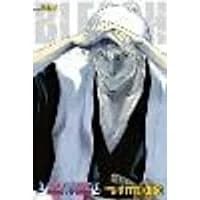 Cover of Bleach (3-in-1 Edition), Vol. 7 Volume 7