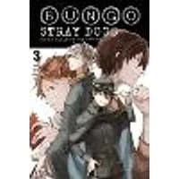 Cover of Bungo Stray Dogs, Vol. 3 (light novel)
