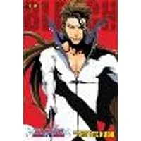 Cover of Bleach (3-in-1 Edition), Vol. 16 Volume 16