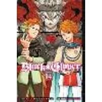 Cover of Black Clover, Vol. 14 Volume 14