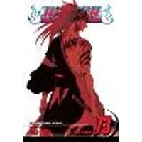 Cover of Bleach, Vol. 73 Volume 73