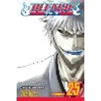 Cover of Bleach, Vol. 25 Volume 25