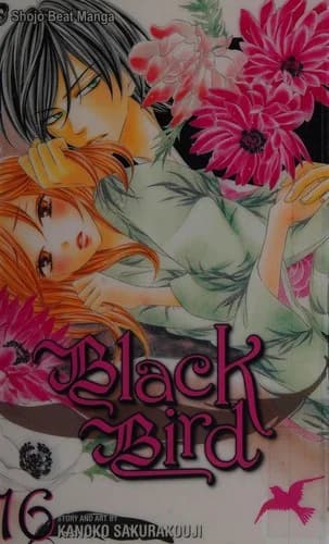 Cover of Black bird