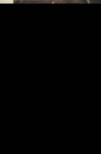 Cover of Placing Animals in the Neolithic