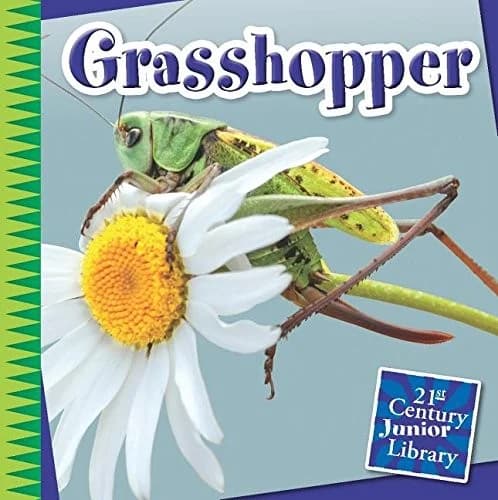 Cover of Grasshopper