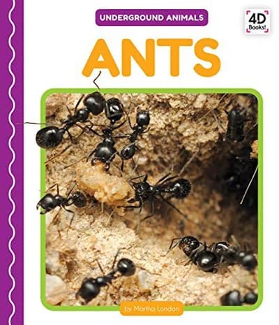 Cover of Ants
