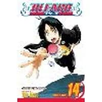 Cover of Bleach, Vol. 14 Volume 14