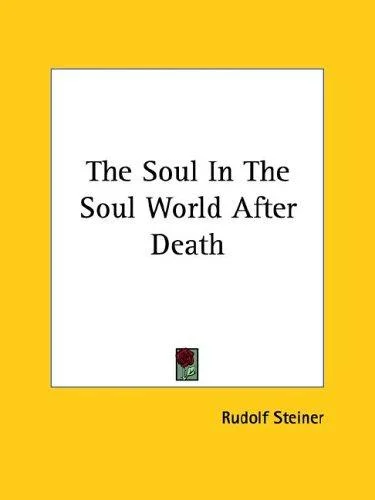 Cover of The Soul In The Soul World After Death