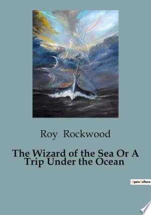 Cover of The Wizard of the Sea Or A Trip Under the Ocean