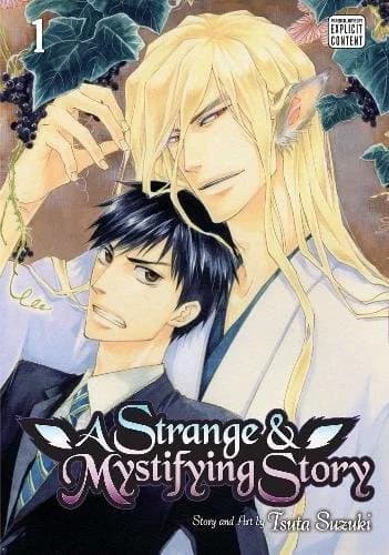 Cover of A Strange and Mystifying Story, Vol. 1