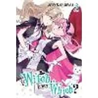 Cover of If Witch, Then Which?, Vol. 2