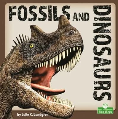 Cover of Fossils and Dinosaurs
