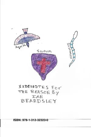 Cover of Sidenotes for the Reason