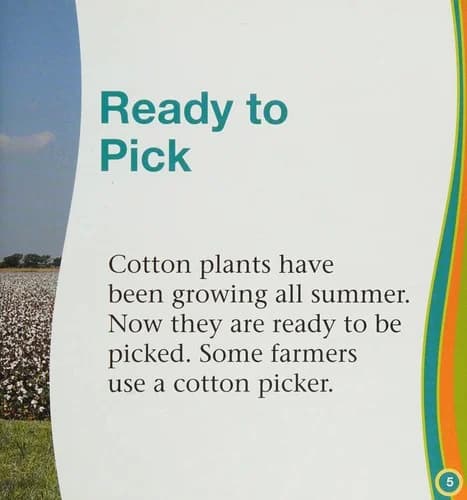 Cover of Cotton Picker