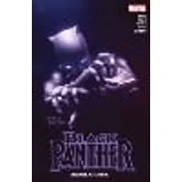 Cover of Black Panther by Eve L. Ewing Vol. 1: Reign At Dusk Book One