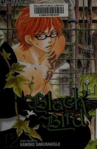 Cover of Black bird