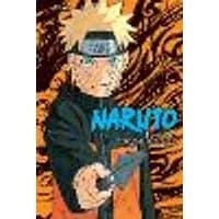 Cover of Naruto (3-in-1 Edition), Vol. 14 Volume 14