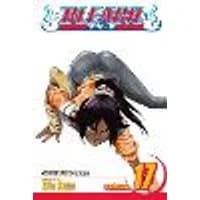 Cover of Bleach, Vol. 17 Volume 17