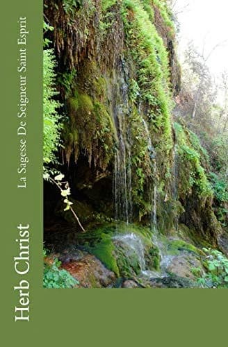 Cover of La Sagesse De Seigneur Saint Esprit