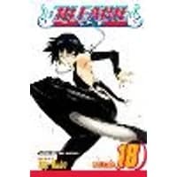 Cover of Bleach, Vol. 18 Volume 18
