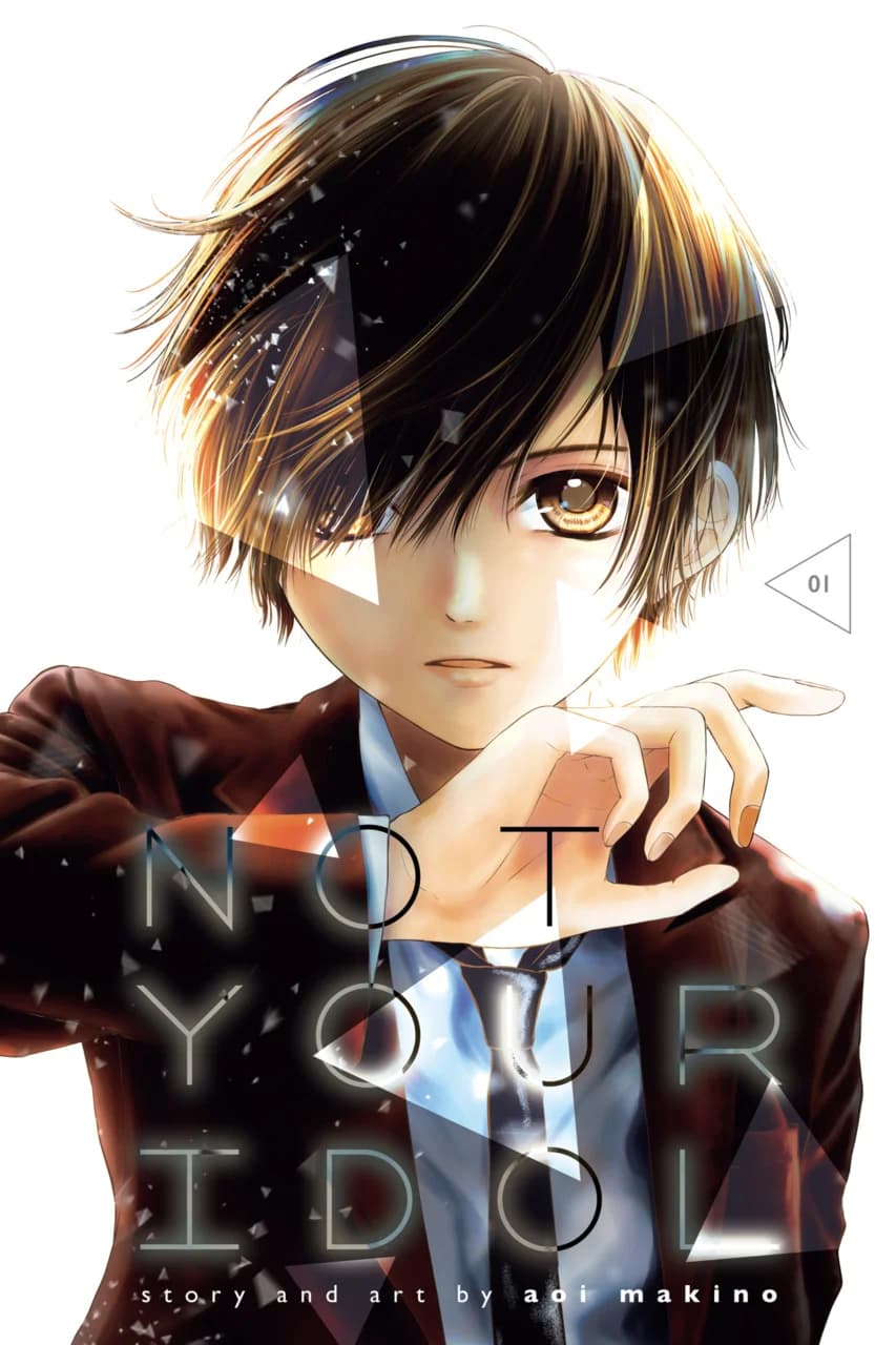 Cover of Not Your Idol Volume 4