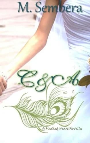 Cover of C&A Novella