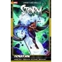 Cover of Storm Vol. 2
