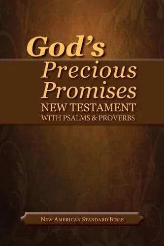 Cover of NASB God's Precious Promises New Testament