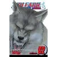 Cover of Bleach, Vol. 62 Volume 62
