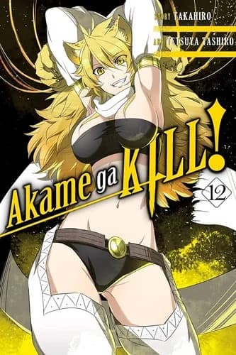 Cover of Akame ga kill!