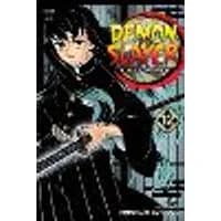 Cover of Demon Slayer: Kimetsu no Yaiba, Vol. 12 Volume 12