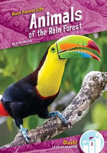 Cover of Animals of the Rain Forest