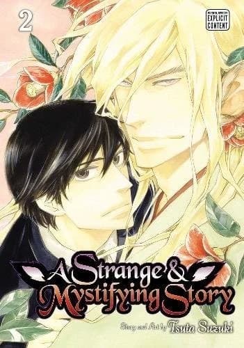 Cover of A Strange and Mystifying Story, Vol. 2