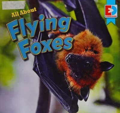 Cover of All about Flying Foxes