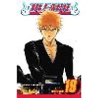 Cover of Bleach, Vol. 19 Volume 19