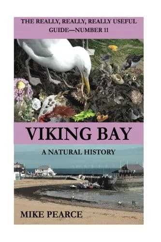 Cover of Viking Bay
