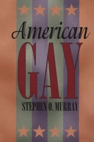 Cover of American Gay